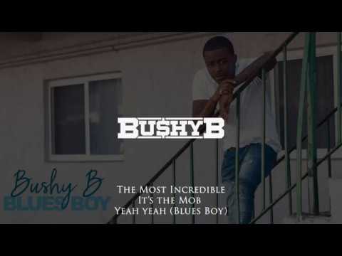 Bushy B Batman Vs Superman Official Audio