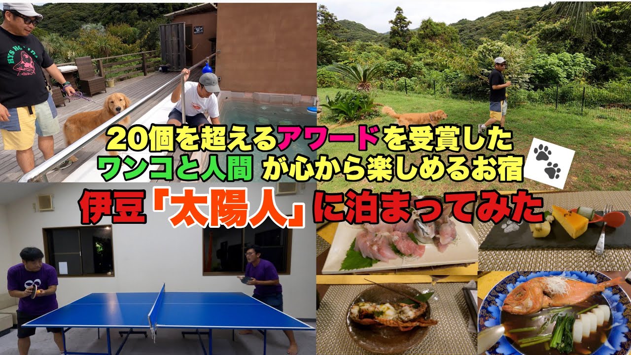 【住宅】ワンコと人間が心から楽しめるお宿 伊豆「太陽人」に泊まってみた🐾【不動産】