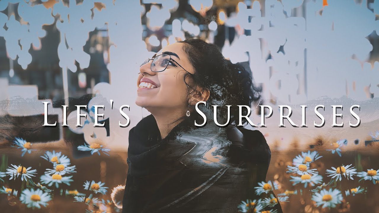 Transformative Moments: Kindness, Cats, Elevator Mishaps, Challenges, and Finding Happiness