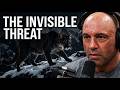 Joe Rogan Exposes Why Mountain Lions Are Silent, Invisible Killers