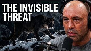Joe Rogan Exposes Why Mountain Lions Are Silent, Invisible Killers