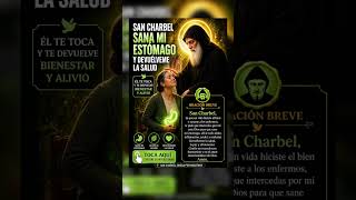 TUS BENDITAS MANOS ME CURAN 🍃 #shorts