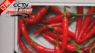 [Foreigner in China] 20161217 | CCTV-4