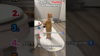 😼😂 Ranking Funny Cat Moments