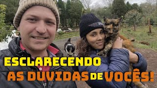 AS NOVIDADES SOBRE a VENDA DO SÍTIO, MEU NOVO EMPREGO e a CAMPANHA DO NOSSO MOTORHOME EP - 778