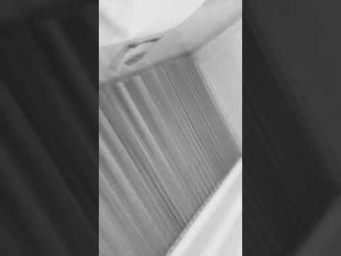 26 ديسمبر 2024