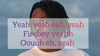 Fireboy DML-Like I Do (Lyrics)