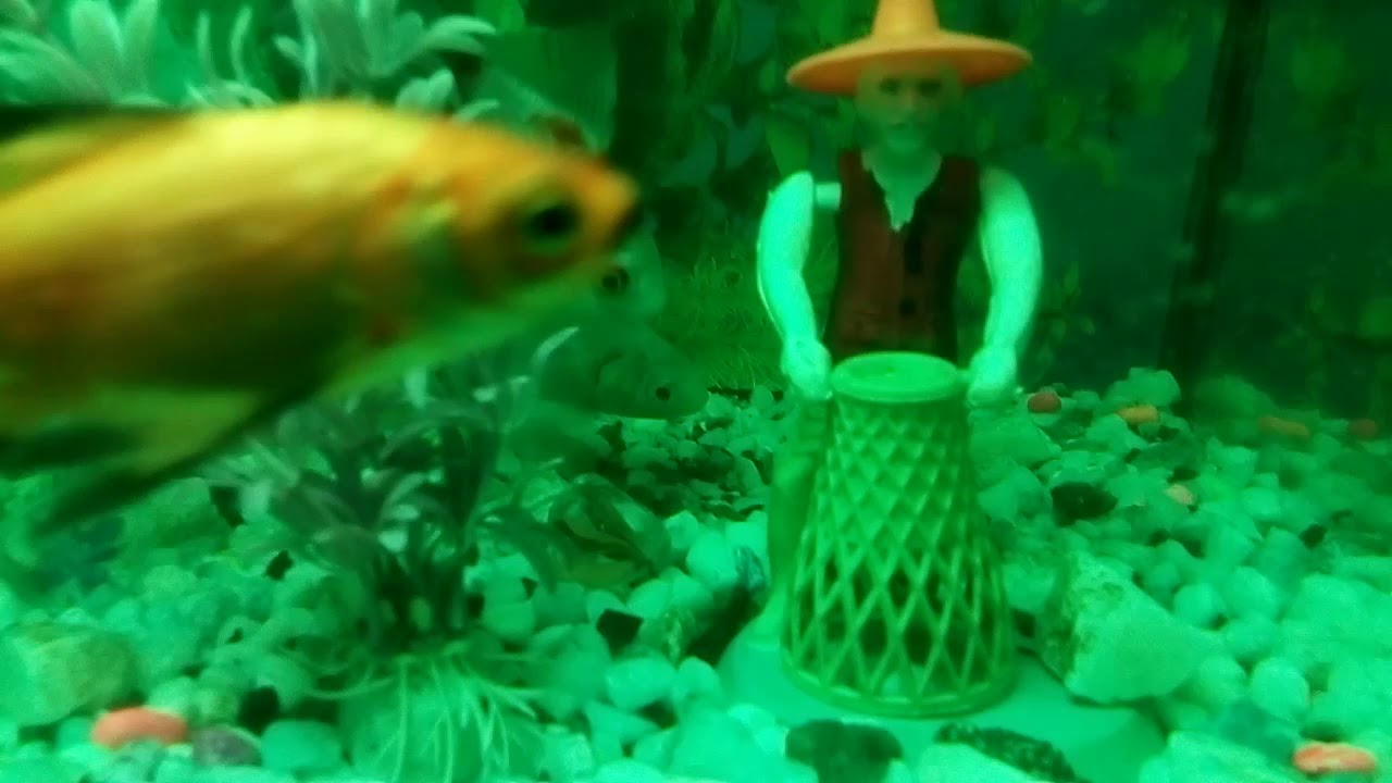 How To Clean A Fish Tank/AQUARIUM/Planted Tank Water Change/Gravel ...
