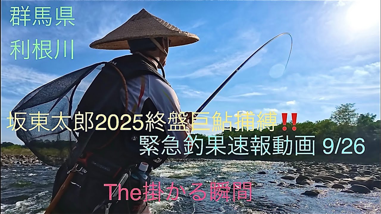 【緊急強烈速報】トロ瀬と荒瀬で巨鮎が掛かる瞬間！坂東太郎2025終盤の鮎捕縛釣‼️