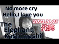 エレファントカシマシ「No more cry」リリース! 35周年を締めくくるシングル