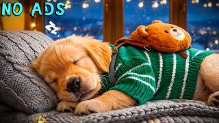 15 Stunden beruhigende Musik für Hunde 🎵💖 Achtsame Schlaftherapie 🐶 Musik für Stressabbau