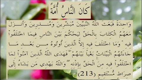 القران الكريم سورة البقرة الاية  213