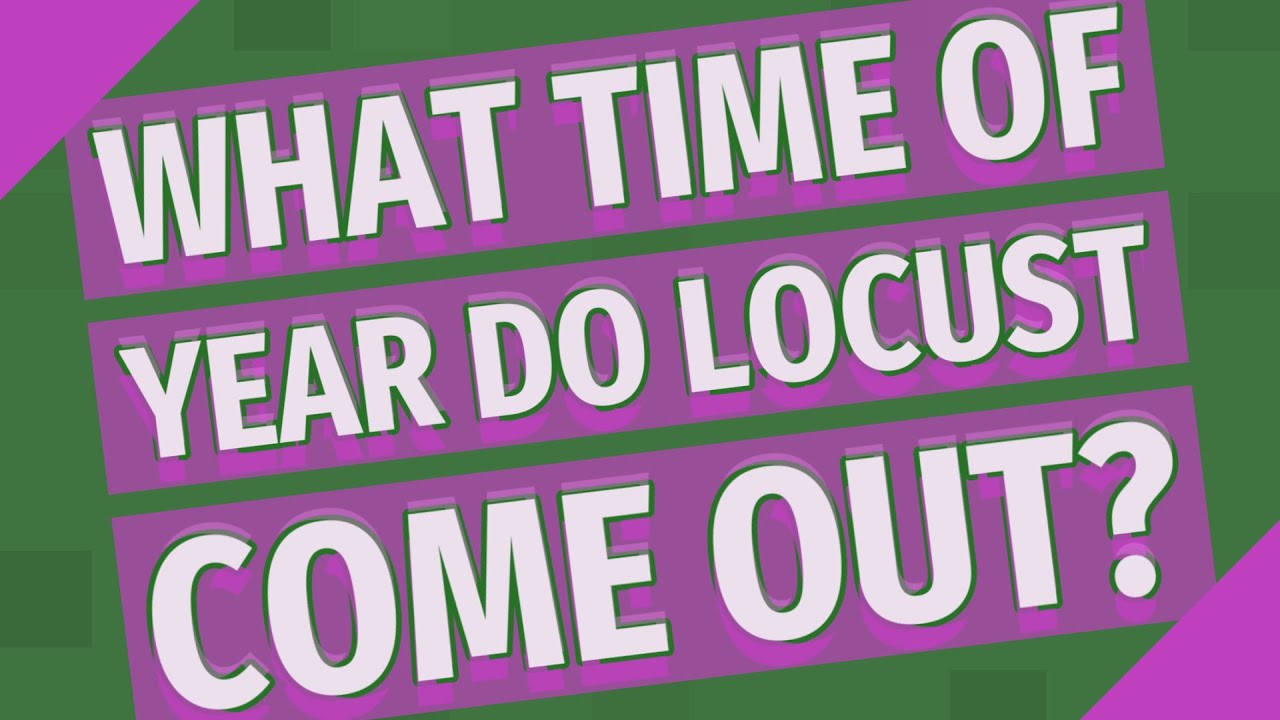 What time of year do locust come out? YouTube