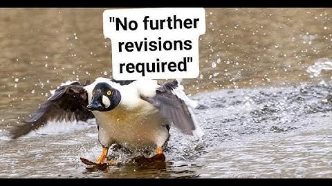 META-Learning State-based Eligibility Traces for More Sample-Efficient Policy Evaluation