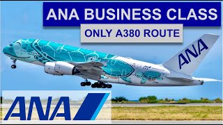 ANA'S ONLY A380 FLIGHT!