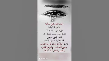 اقتباسات يومية وحكم رائعة عن الحياة مستوحاة من أقوال العلماء والفلاسفة والحكماء حكمة اعجبتني 