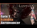 Cleaning Up The Trash. Echidna Gate 1 (Wind Fury Aeromancer) | Lost Ark