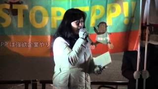 20140107 UPLAN ＳＴＯＰ　ＴＰＰ!!　官邸前アクション