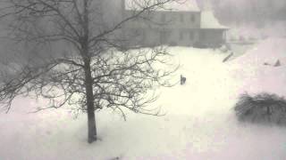 20150127 080851