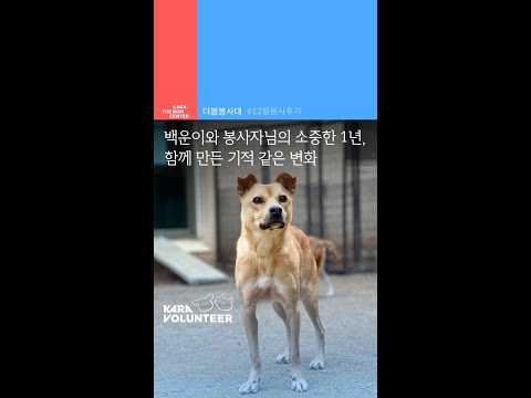 백운이와 봉사자님의 1년, 기적 같은 변화