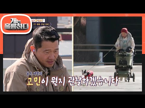 평소 찹쌀이 때문에 고민이 많았던 세리 보호자! 박家네 산책 첫 번째 고민 행동은? [개는 훌륭하다/Dogs Are Incredible] | KBS 240408 방송