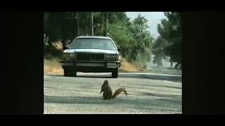 Geico Direct Squirrels Commercial (2003) 🚘🐿️