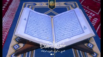 روائع المصحف المرتل 🤍 سورة السجدة _ تسجيلات استديو 2022 | القارئ الشيخ سامي علي ايوب ✨