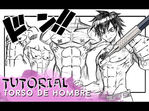 Video: Cómo Dibujar El Torso