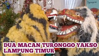 MACAN LAMPUNG TIMUR TURONGGO YAKSO