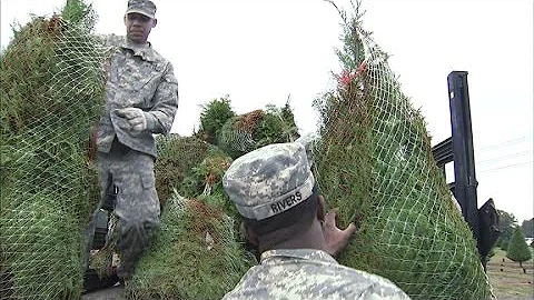 Christmas trees donated to over 100 Georgia families