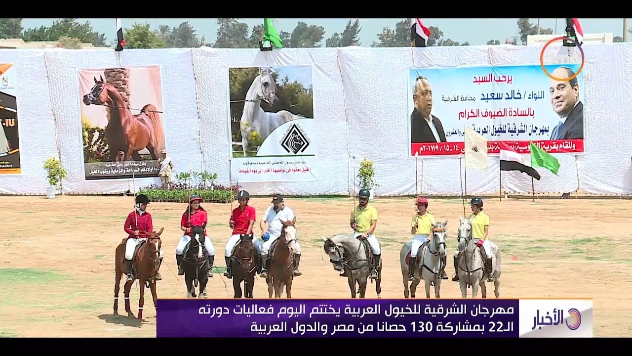 الأخبار مهرجان الشرقية للخيول العربية يختتم فعاليات دورته الـ 22 بمشاركة 130 حصانا Youtube
