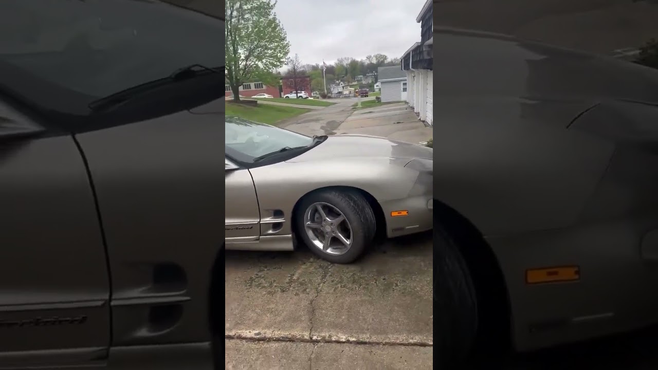 My new turbo v6 firebird with 43k original miles 