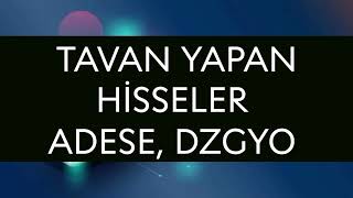 Tavan Yapan Hiseler - Adese, Dzgyo