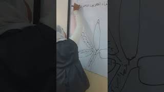 مدرسة الشهيد يحي نصر الاعدادية بنات بالطيبة. دراسات .الخرائط الذهنية.