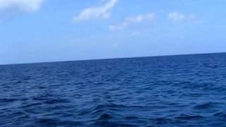 DSCF2184.AVI