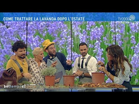 Video: Quando Piantare Un Bambino