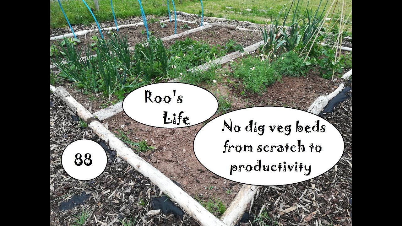 88. No dig veg beds from scratch to productivity YouTube