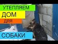 УТЕПЛЯЕМ БУДКУ ДЛЯ СОБАКИ. НАТУРАЛЬНЫМИ МАТЕРИАЛЛАМИ