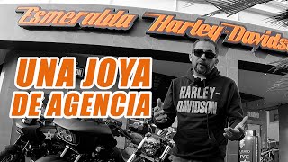 HARLEY DAVIDSON ESMERALDA / UNA JOYA DE AGENCIA