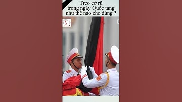 Cách treo cờ rũ trong ngày Quốc tang. #shorts