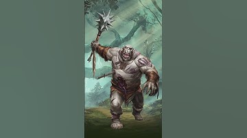 What are the main sizes in DnD 5e?