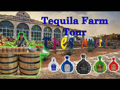 Vídeo: 5 Experiências Essenciais Para Ter Em Tequila, México - Matador Network
