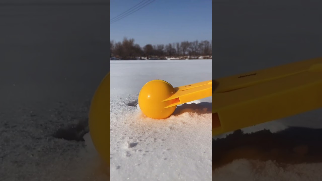 The Motivational 💪💪