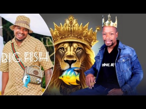 Maphophe Map Xinqambhani xaka Maphophe King 👑 Afu beef to Gagash|Big fish 🐠 - YouTube