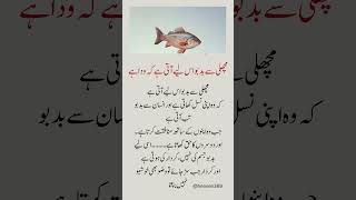                                                     - اسمعها