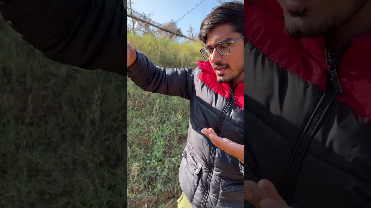 Guarda amit bhai snake bite 🐍 #shorts #shortsfeed #shortvideo su YouTube Guarda amit bhai snake bite 🐍 #shorts #shortsfeed #shortvideo su YouTube