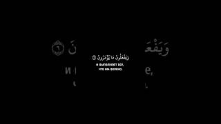Чтец: «АбдурРахман» Сура: «Ат-Тахрим» Аяты: «6-8»