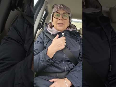 Говорилка в машину