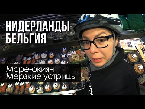 #3 Путешествие - Нидерланды и Бельгия. Какие устрицы на вкус, невероятные виды на море.