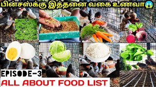 Episode-3 | Finches food list in tamil | Finch chicks food tamil | Finch food for breeding